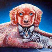 peinture chien et chat