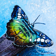 peinture papillon