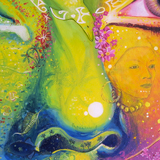 zoom sylvaine merlet